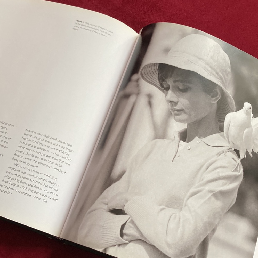 Audrey Hepburn by Nick Yapp - Picture 15 of 16